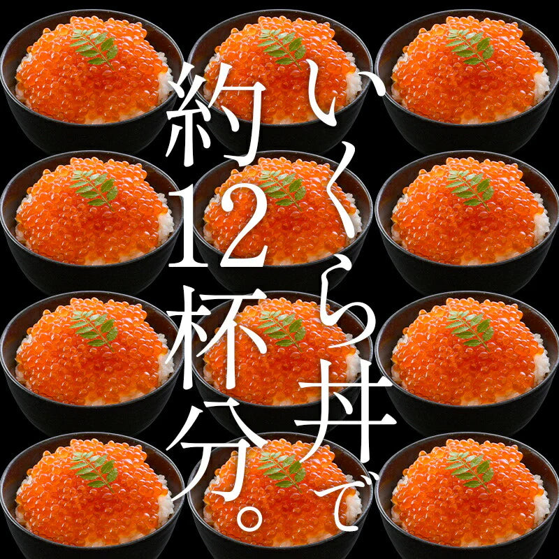 いくら 紅鮭 イクラ 醤油漬け 1kg 小粒 いくら醤油漬け 冷凍海鮮 イクラ醤油漬け 魚卵 魚介類 美味しい ご飯のお供 贈り物 グルメ 海鮮 ［送料無料］