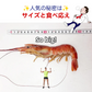 赤海老 えび 大型 天然 800g 生食用