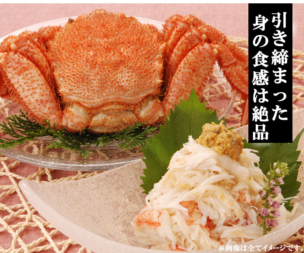 毛ガニ 毛蟹 訳あり 650g 1尾 かに姿 カニ味噌 かにしゃぶ 蟹 カニ かに 北海道産 shr-018