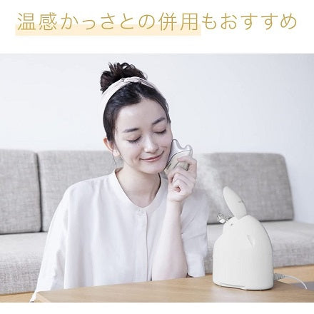 パナソニック スチーマー ナノケア コンパクトタイプ ゴールド調 EH-SA3C-N