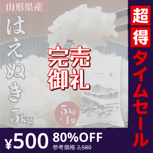 【完売御礼】【超得ハイパーSALE】＜５キロ＞山形県産 令和4年度 新米 はえぬき