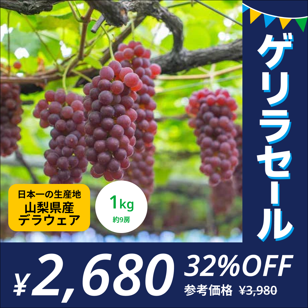 【山梨県産／秀品】デラウェア ぶどう 種なし 1kg（9房／高糖度18度～23度）（JAふえふき）【ゲリラセール】