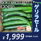 【C品･訳あり】きゅうり 5キロ［約30-40本前後入］ 生産者直送 岩手県二戸市産 キズ、曲がり、空洞あり【ゲリラセール】