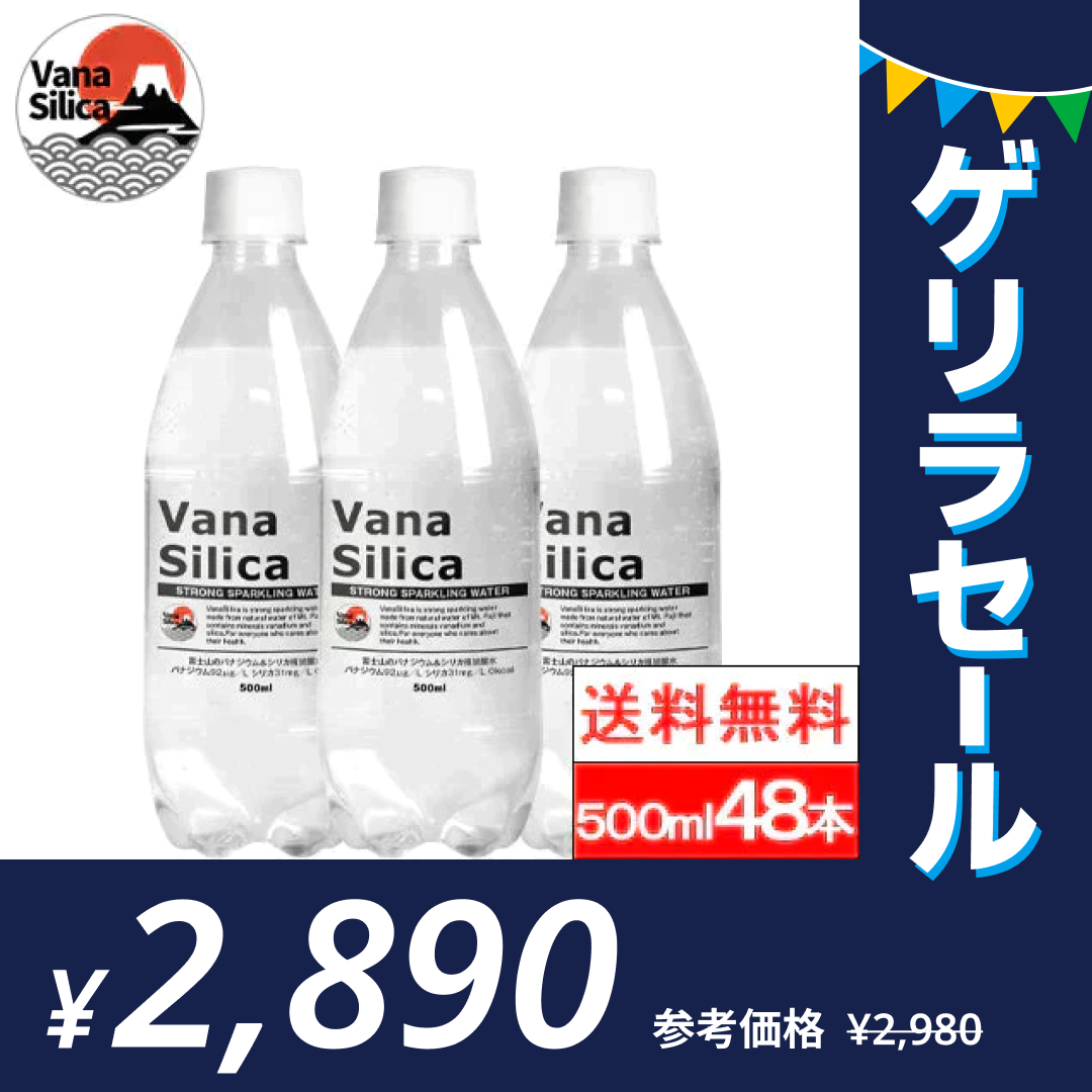 【1本60.3円】富士山のバナジウム＆シリカ 強炭酸水 VanaSilica（バナシリカ） 500ml  48本(24本×2箱)プレーン【送料無料】【ゲリラセール】