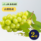 【超得ハイパーSALE】【秀品】高級シャインマスカット　2房（路地／JAふえふき）【ゲリラセール】