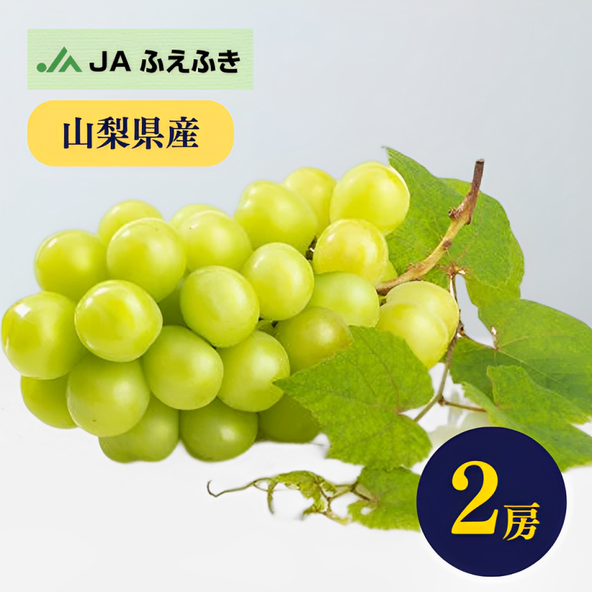 【超得ハイパーSALE】【秀品】高級シャインマスカット　2房（路地／JAふえふき）【ゲリラセール】