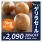 [9-11個]訳あり玉ねぎ5kg🧅シャーロットオニオン🧅淡路島極熟玉葱🧅送料無料 たまねぎ タマネギ【ゲリラセール】