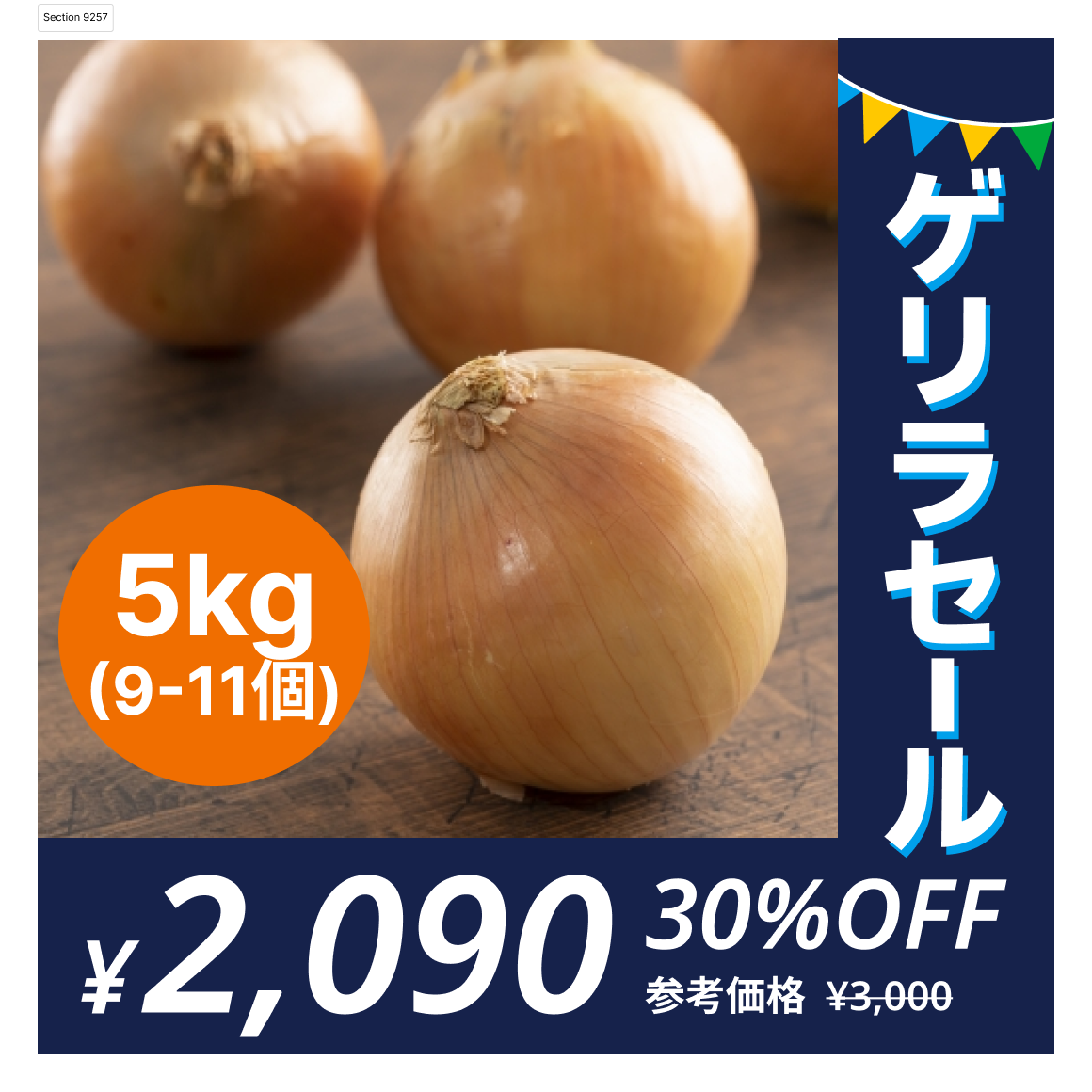 [9-11個]訳あり玉ねぎ5kg🧅シャーロットオニオン🧅淡路島極熟玉葱🧅送料無料 たまねぎ タマネギ【ゲリラセール】