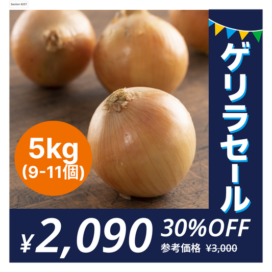 [9-11個]訳あり玉ねぎ5kg🧅シャーロットオニオン🧅淡路島極熟玉葱🧅送料無料 たまねぎ タマネギ【ゲリラセール】