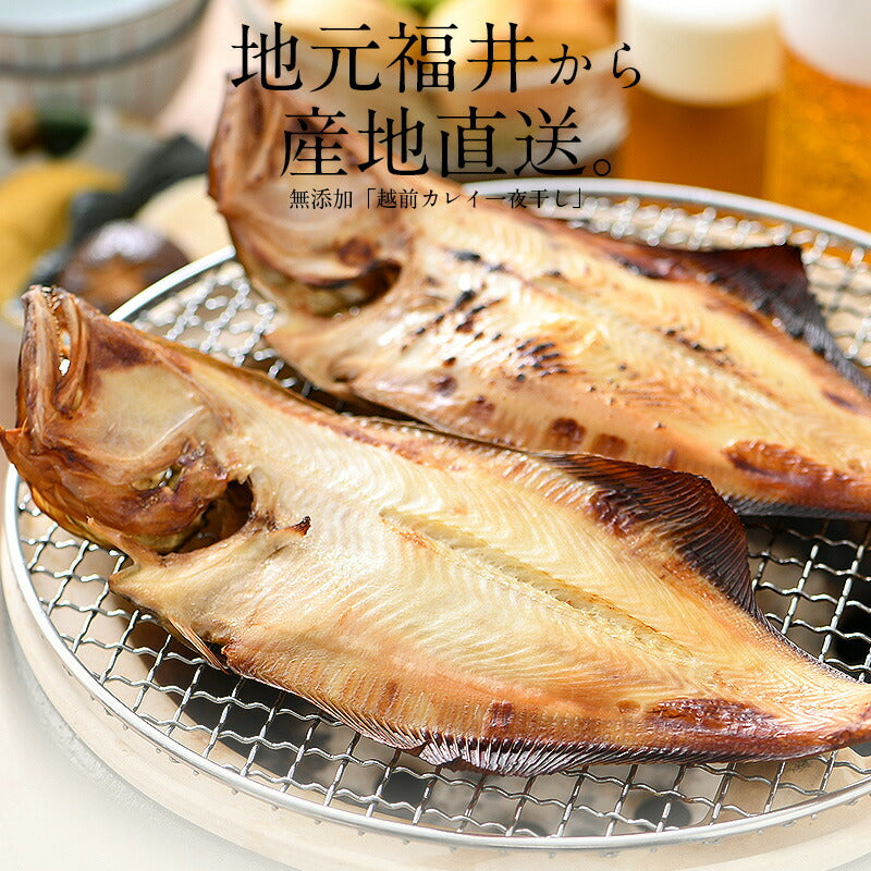 干物 越前ガレイ 越前がれい カレイ かれい 鰈 大サイズ×2尾 赤ガレイ 赤カレイ 赤鰈 美味しい お魚 グルメ 魚 おつまみ おかず 酒の肴 海鮮 お取り寄せグルメ 酒のつまみ 食べ物 贈り物 ごちそう ギフト