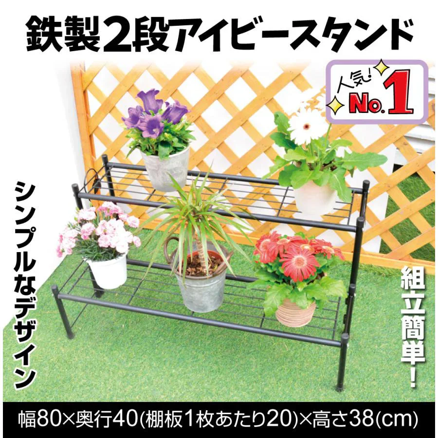 鉄製2段アイビースタンド 黒