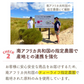 【最短当日出荷】ルイボスティー 101個入 3袋セット（ルイボス ルイボス茶 水出し ティーバッグ ノンカフェイン ハーブティー）