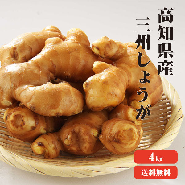 【送料無料】 高知産 三州生姜 4kg 【業務用】 三州生姜 酢しょうが 紅茶 保存 生姜効能 根生姜 生姜 しょうが ショウガ 国産