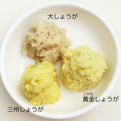 【送料無料】 高知産 大生姜 4kg 【業務用】 大しょうが 酢しょうが 紅茶 保存 生姜効能 根生姜 生姜 しょうが ショウガ 国産