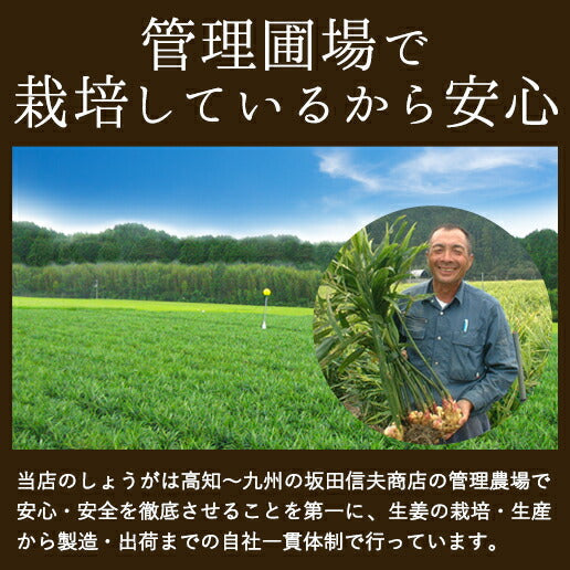 【送料無料】 国産黄金生姜使用 寿司ガリ 1kg×3袋セット 【業務用】【TVで紹介！ 櫻井・有吉のTHE 夜会】 甘酢 ガリ スライス 無着色 合成保存料 不使用 生姜 しょうが ショウガ 国産