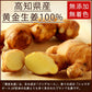 【送料無料】 高知産黄金しょうが100% しょうが粉末 50g 【代引不可】 高知県産 黄金生姜 生姜粉末 しょうがパウダー ジンジャーパウダー  乾燥ショウガ 無添加 温活 冷え対策 生姜 しょうが ショウガ 国産
