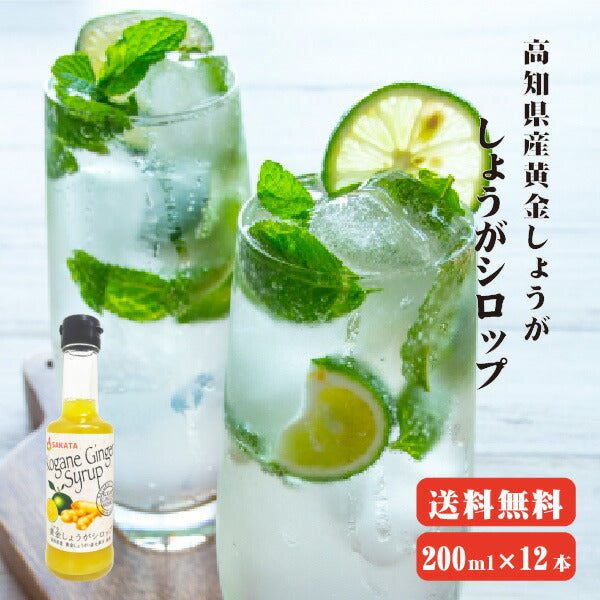 【10人シェア買いでお得】【送料無料】 黄金しょうがシロップセット 200ml×12 高知県産 ジンジャー ジンジャーシロップ 生姜シロップ しょうがシロップ 無添加 無着色 生姜 しょうが ショウガ 国産