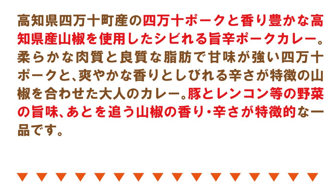 【送料無料】 四万十ポークと山椒のカレー　200g×2袋セット  【代引不可】 ご当地カレー レトルト 特産