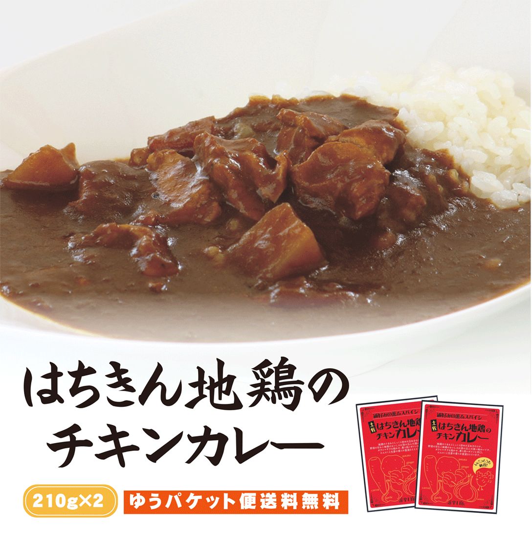 【送料無料】 土佐はちきん地鶏のチキンカレー　210g×2袋セット 【代引不可】 ご当地カレー レトルト 特産