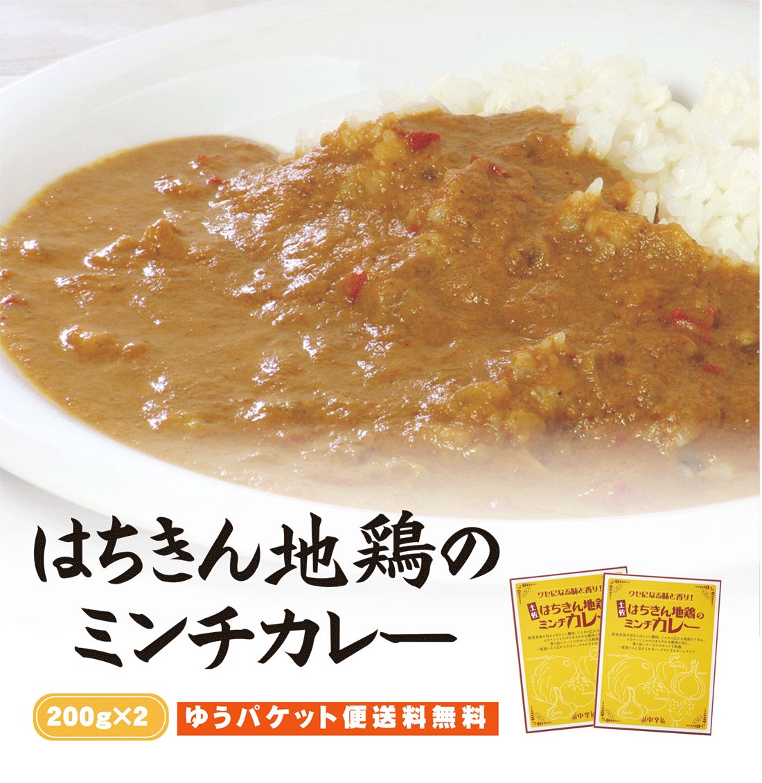 【送料無料】 土佐はちきん地鶏のミンチカレー　200g×2袋セット 【代引不可】 ご当地カレー レトルト 特産