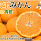 大玉みかん 5kg 2L～4L 秀品 金峯 青島 みかん 送料無料 温州みかん 熊本県産 蜜柑 ミカン フルーツ
