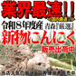 【新物】令和8年産 青森県産にんにく 5kg 訳あり C品 Mサイズ以上大玉混合 福地ホワイト六片種