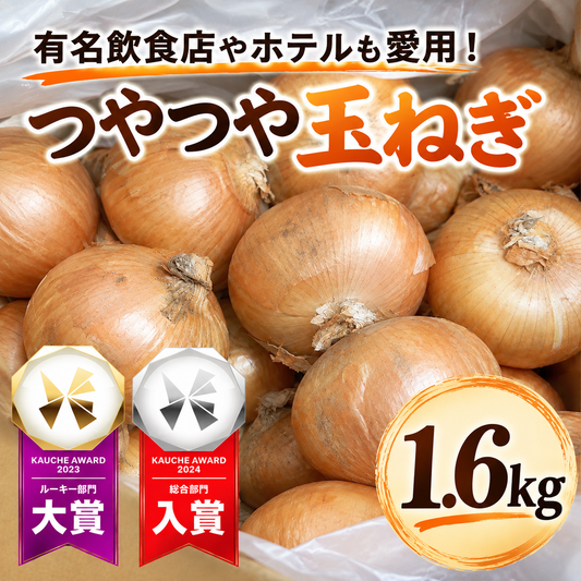 【10営業日以内に発送】有名飲食店やホテルも愛用！ つやつやたまねぎ 約1.6kg（1500-1700gでお届け）玉ねぎ 玉葱 野菜 青果 市場直送【カウシェファーム収穫対象商品】