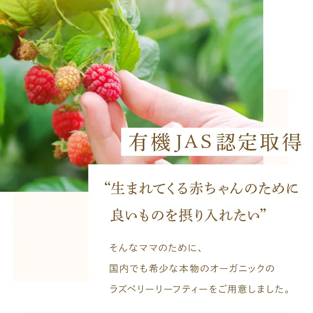 ラズベリーリーフティー 有機JAS認定 60包 無農薬 オーガニック シングルハーブ マタニティー 妊婦 安産 出産 産後ケア PMS 女性 お茶 ラズベリーリーフ ハーブティー ティーバッグ ノンカフェイン 出産準備