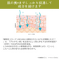 エビス〔ebis〕植物性コラーゲンMC100(10ml) コラーゲン原液 美容液 美容原液　植物性コラーゲン100%原液 美容液 目元にハリを与える濃密美容液　メB