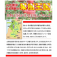 りんご 蜜入りサンふじ 山形産 10kg （発送予定：12月上旬より）