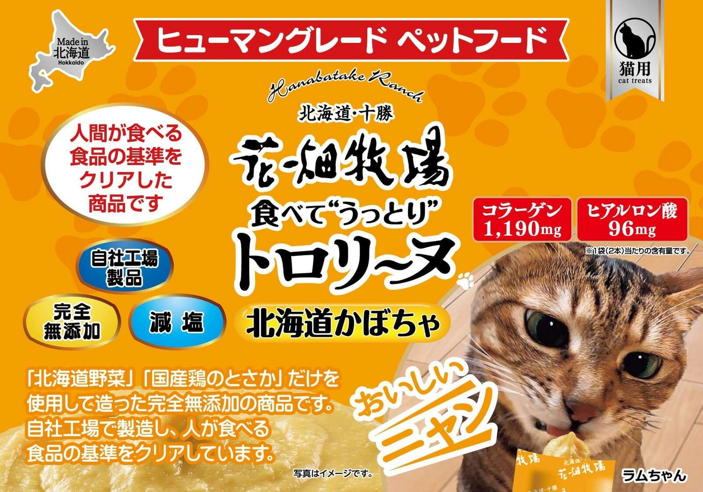 猫用 花畑牧場 猫用トロリーヌ 北海道かぼちゃ (25g 2本) 2個セット 送料無料 無添加 北海道 十勝 おやつ かぼちゃ コラーゲン ヒアルロン酸 ペットフード ドックフード 猫 犬