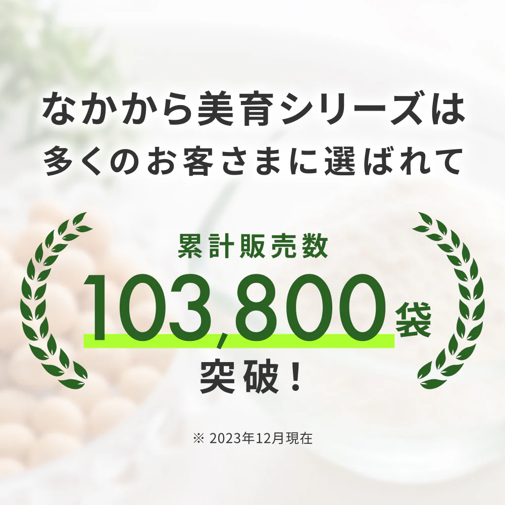 飲める おからパウダー 超微粉 300メッシュ 450g 3袋 国産 保存料 着色料 無添加 グルテンフリー 大豆 おから ソイパウダー 置き換え 飲み物 低糖質 糖質制限 粉末 食物繊維 たんぱく質 添加物不使用 なかから美育 ダイズ 遺伝子組み換えでない