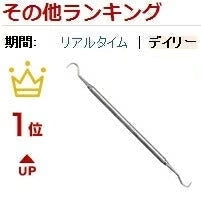 【ご新規さんとシェア買い】両頭鎌型スケーラー H5-33 1本【歯石取り 歯垢取り ヤニ取り】
