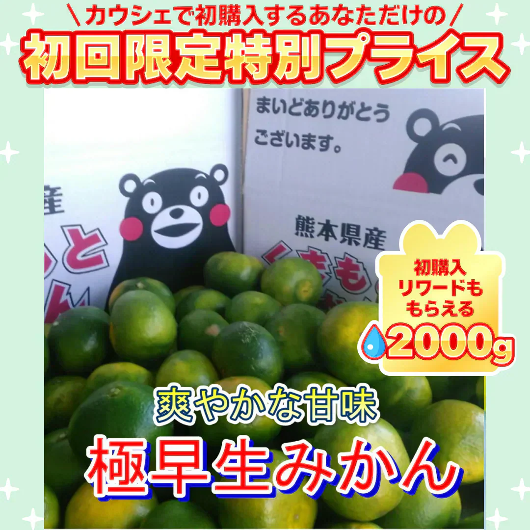 熊本産 みかん 訳あり 約1.5kg ご家庭用 60サイズ　送料無料【ご新規さん限定商品】