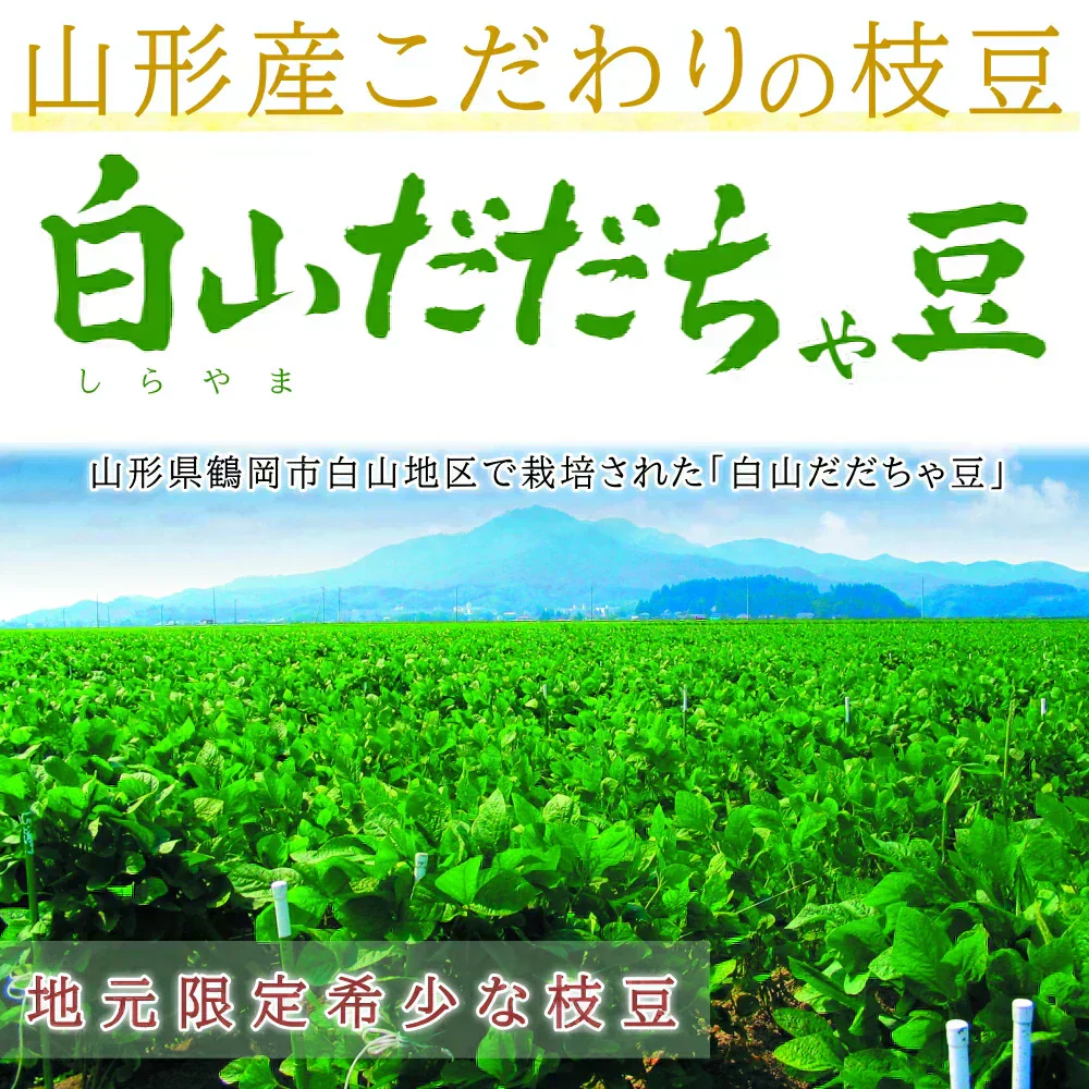 【8月中旬～9月上旬頃発送】白山 だだちゃ豆 1kg 枝豆 えだまめ まめ マメ 生豆