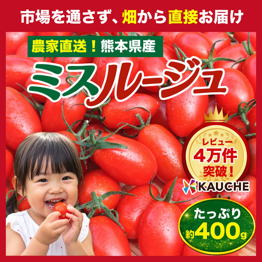 【10営業日以内に発送】たっぷり約400g！(230g～250g＋補償分150g) ミスルージュ ミニトマト【カウシェファーム収穫対象商品】