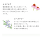 ★訳あり特価★オーガニック リフレッシュ ブレンド グリーンティー （Organic Refresh Blend  GREEN TEA ティーバッグ ブレンドティー 美容 健康 緑茶 有機）