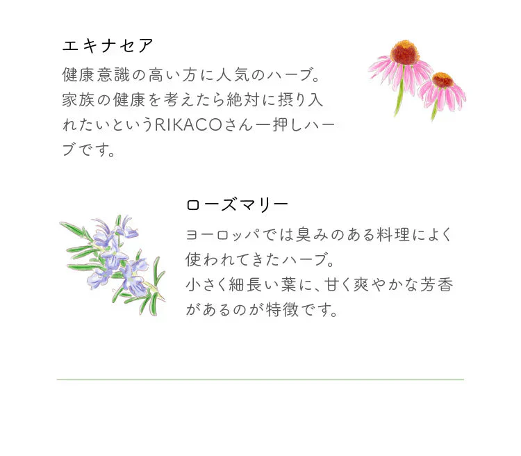 ★訳あり特価★オーガニック リフレッシュ ブレンド グリーンティー （Organic Refresh Blend  GREEN TEA ティーバッグ ブレンドティー 美容 健康 緑茶 有機）