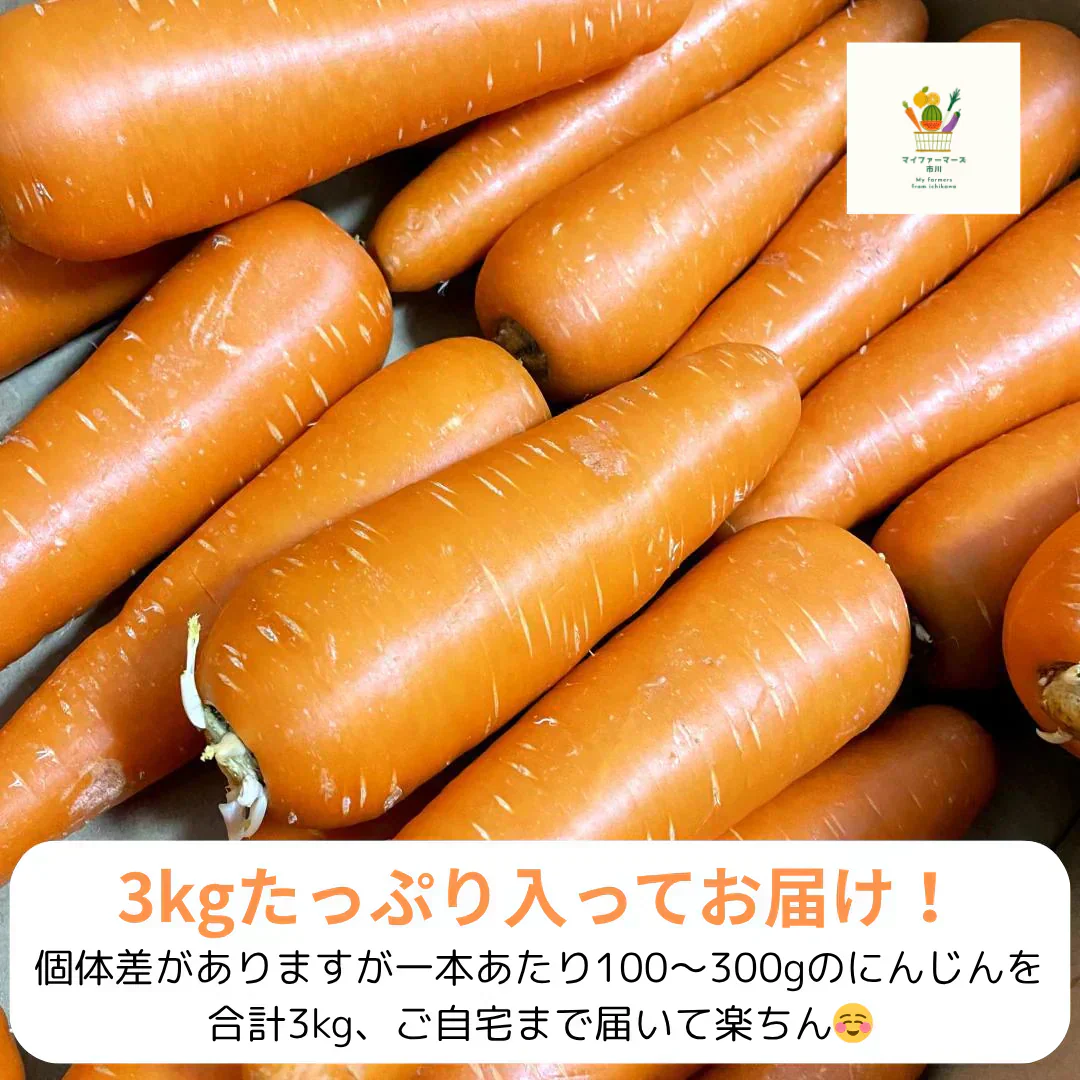 【有名飲食店やホテルも愛用】にんじん 3kg 農家 野菜 人参 ニンジン フルーツ 青果 市場 果物 フルーツ ギフト 食品 家庭用 贈答 料理