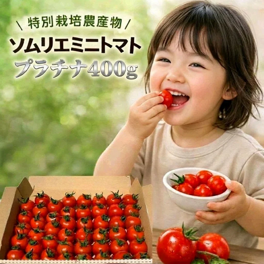 【特別栽培農産物】ソムリエミニトマト　プラチナ　４００ｇ（補償100g込み）※補償分以上の不良は交換対応可能