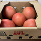 トマト🍅（トマト・ミディトマト・ミニトマトなど種類は出品者おまかせ）送料無料【ご新規さん限定商品】60サイズ