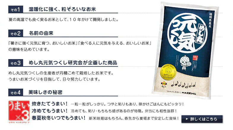 米 2kg 福岡県産「元気つくし」福岡の自信作 金のめし丸 令和7年産 研ぐお米 九州産 数量限定 送料無料