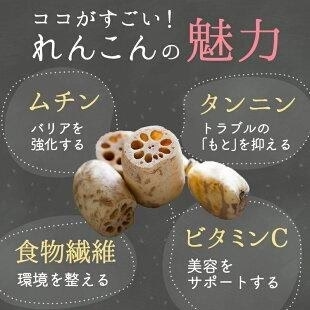 れんこんパウダー　100g