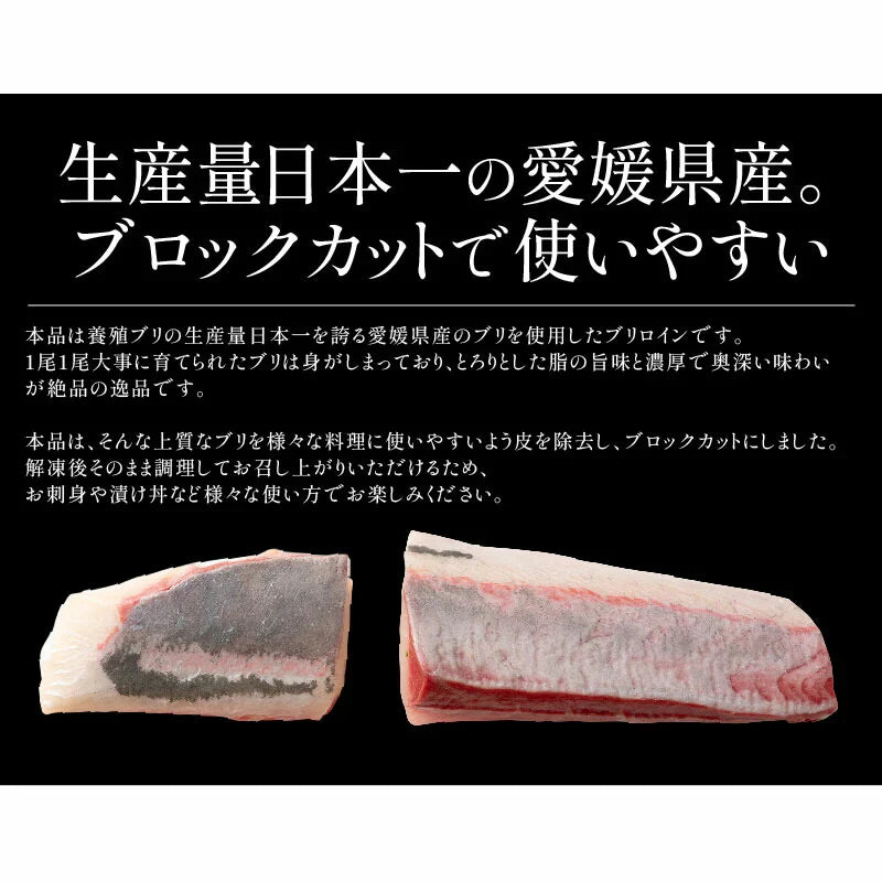 ぶり 刺身 ブリ ロイン 500g 超冷薫 業務用 愛媛県産 鰤 海鮮 お刺身 刺し身 柵 さくさしみ 切り身 お取り寄せ グルメ 寿司 和食 ブリしゃぶ 海鮮 冷凍