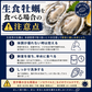 2L、Mサイズが選べる　カキ 牡蠣 かき 生食用 殻付き 1kg　Mサイズ（14～16個）　冷凍 ［送料無料］ 生牡蠣 生食 美味しい 冷凍牡蠣 生ガキ 生食用カキ お取り寄せ 殻付き牡蠣 高鮮度 贈り物 お取り寄せグルメ 贈答用