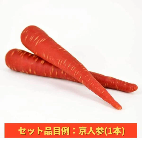 【送料無料】おせち・お雑煮等おまかせ年末年始用京野菜セット(8～10品目以上)【レシピ付】(堀川ごぼう、聖護院大根、小海老芋、京人参、雑煮大根、京小松菜、京柚子、頭芋、京甘藷、京くわい、山の芋、京辛味大根、京筍(水煮)、京芹など)