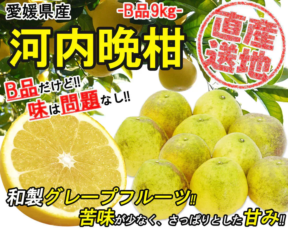 河内晩柑 Ｂ級品 (9kg) ※中玉・大玉MIX　訳あり  晩柑 ご家庭用 箱買い B品 サイズミックス 柑橘 みかん フルーツ 果物 産地直送 愛媛県産