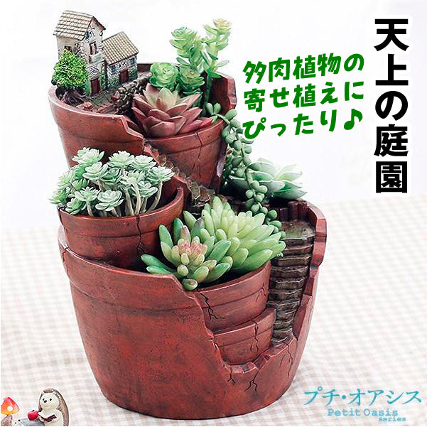 鉢 植木鉢 ポリ製 多肉植物 寄せ植え かわいい プチオアシス・天上の庭園 1個 女性 プレゼント