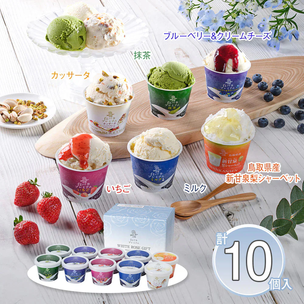 収穫祭10個入 鳥取 大山乳業 アイスクリーム シャーベット 詰合せ【送料込み】【二重包装不可】