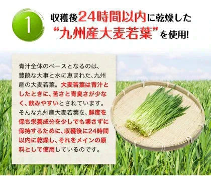 朝摘み もぎたて 青汁 大麦若葉 90g(3g×30包) 送料無料 美味しい 飲みやすい 青汁 乳酸菌 プラセンタ 食物繊維 ダイエット 甘い青汁《3-7営業日以内発送(土日祝除く)》